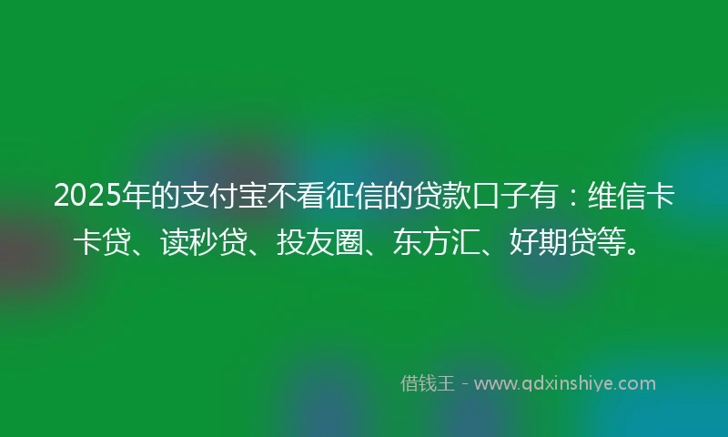 2025年的支付宝不看征信的贷款口子有：维信卡卡贷、读秒贷、投友圈、东方汇、好期贷等。