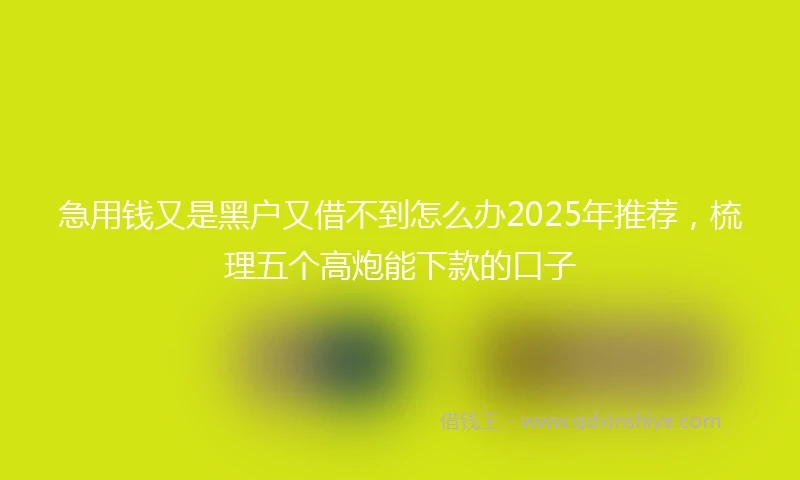 急用钱又是黑户又借不到怎么办2025年推荐，梳理五个高炮能下款的口子