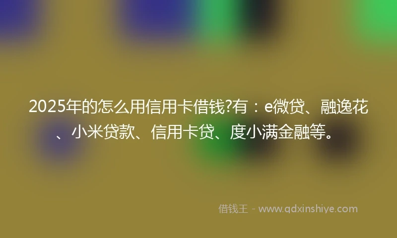 2025年的怎么用信用卡借钱?有：e微贷、融逸花、小米贷款、信用卡贷、度小满金融等。