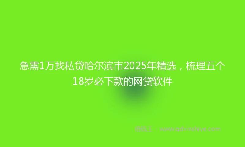 急需1万找私贷哈尔滨市2025年精选，梳理五个18岁必下款的网贷软件