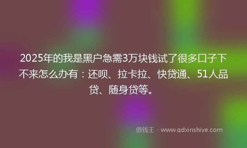2025年的我是黑户急需3万块钱试了很多口子下不来怎么办有：还呗、拉卡拉、快贷通、51人品贷、随身贷等。