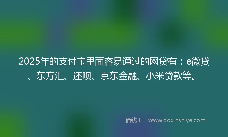 2025年的支付宝里面容易通过的网贷有：e微贷、东方汇、还呗、京东金融、小米贷款等。
