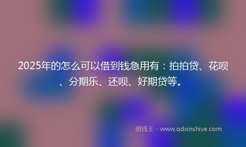 2025年的怎么可以借到钱急用有：拍拍贷、花呗、分期乐、还呗、好期贷等。