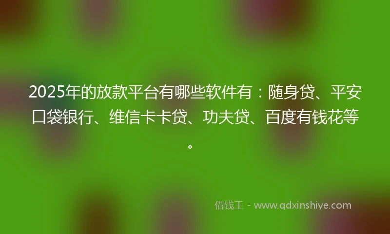 2025年的放款平台有哪些软件有：随身贷、平安口袋银行、维信卡卡贷、功夫贷、百度有钱花等。