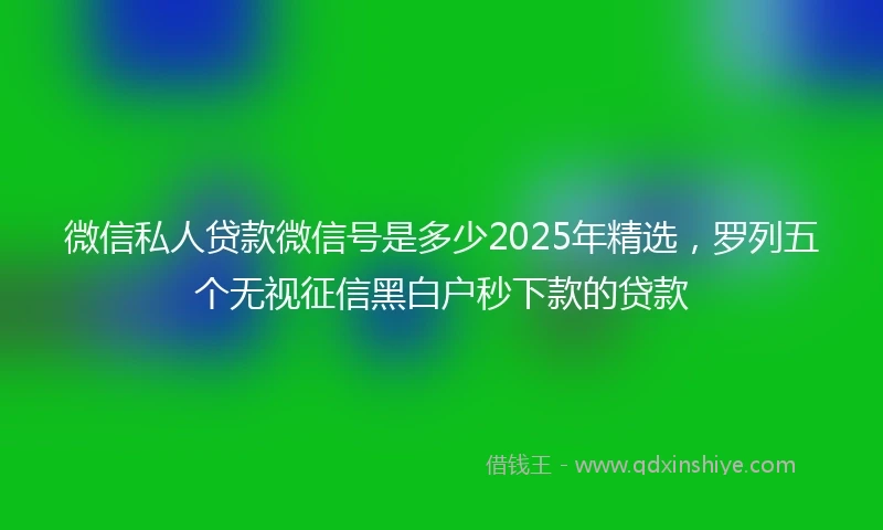 微信私人贷款微信号是多少2025年精选,罗列五个无视征信黑白户秒下款的贷款
