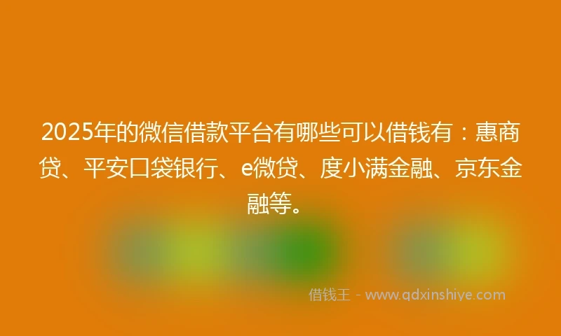 2025年的微信借款平台有哪些可以借钱有：惠商贷、平安口袋银行、e微贷、度小满金融、京东金融等。