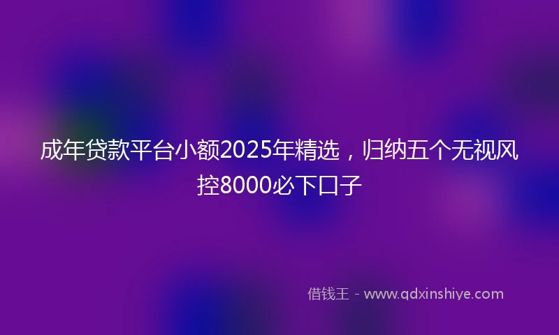 成年贷款平台小额2025年精选，归纳五个无视风控8000必下口子