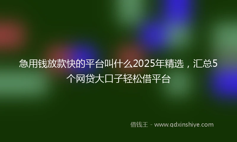 急用钱放款快的平台叫什么2025年精选，汇总5个网贷大口子轻松借平台