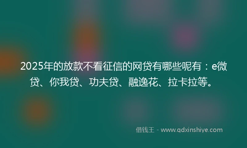 2025年的放款不看征信的网贷有哪些呢有：e微贷、你我贷、功夫贷、融逸花、拉卡拉等。