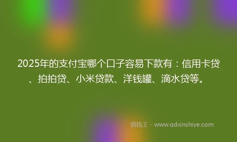 2025年的支付宝哪个口子容易下款有：信用卡贷、拍拍贷、小米贷款、洋钱罐、滴水贷等。
