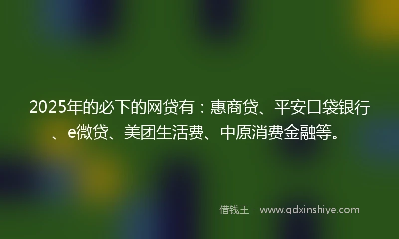 2025年的必下的网贷有：惠商贷、平安口袋银行、e微贷、美团生活费、中原消费金融等。