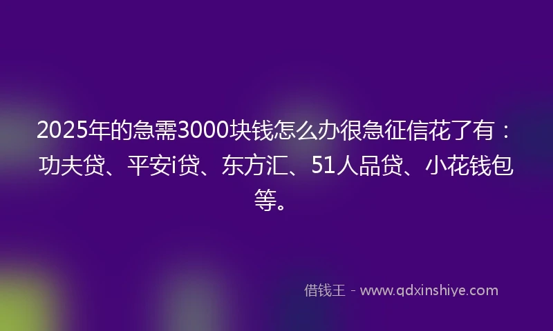 2025年的急需3000块钱怎么办很急征信花了有：功夫贷、平安i贷、东方汇、51人品贷、小花钱包等。