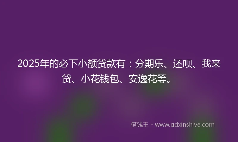2025年的必下小额贷款有：分期乐、还呗、我来贷、小花钱包、安逸花等。