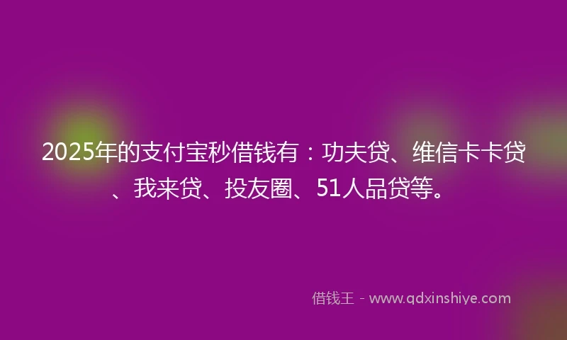2025年的支付宝秒借钱有：功夫贷、维信卡卡贷、我来贷、投友圈、51人品贷等。