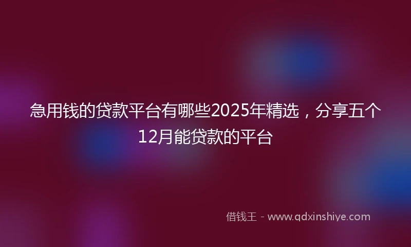 急用钱的贷款平台有哪些2025年精选，分享五个12月能贷款的平台