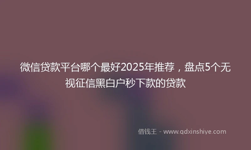 微信贷款平台哪个最好2025年推荐，盘点5个无视征信黑白户秒下款的贷款