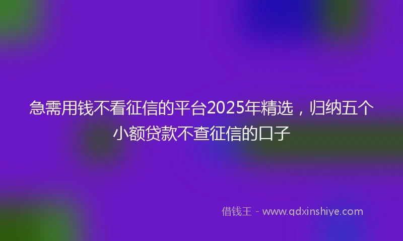 急需用钱不看征信的平台2025年精选，归纳五个小额贷款不查征信的口子