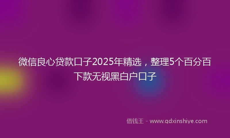 微信良心贷款口子2025年精选，整理5个百分百下款无视黑白户口子