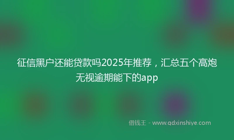 征信黑户还能贷款吗2025年推荐，汇总五个高炮无视逾期能下的app