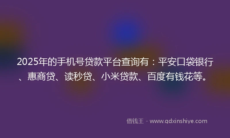 2025年的手机号贷款平台查询有：平安口袋银行、惠商贷、读秒贷、小米贷款、百度有钱花等。