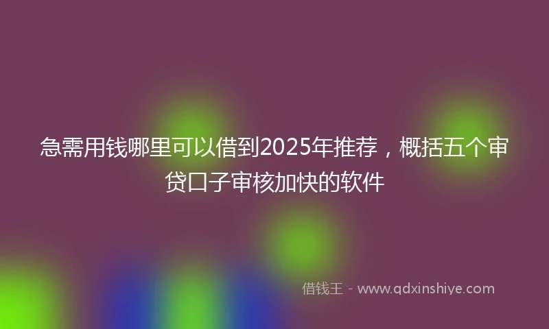 急需用钱哪里可以借到2025年推荐，概括五个审贷口子审核加快的软件