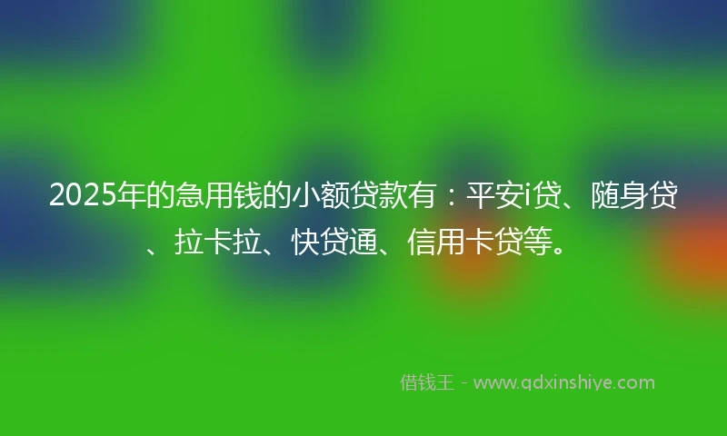 2025年的急用钱的小额贷款有：平安i贷、随身贷、拉卡拉、快贷通、信用卡贷等。