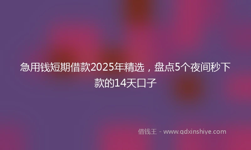 急用钱短期借款2025年精选,盘点5个夜间秒下款的14天口子