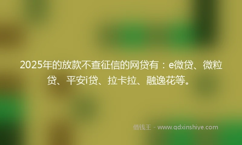 2025年的放款不查征信的网贷有：e微贷、微粒贷、平安i贷、拉卡拉、融逸花等。