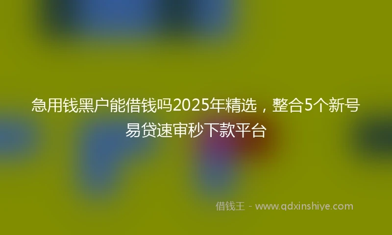急用钱黑户能借钱吗2025年精选，整合5个新号易贷速审秒下款平台