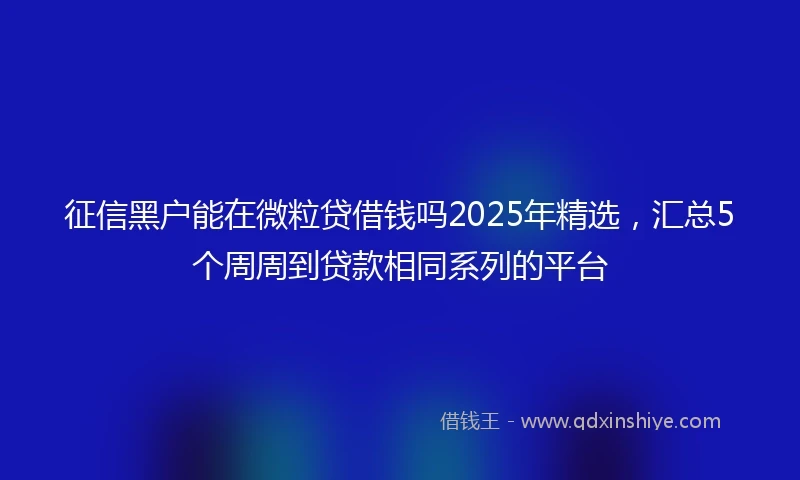 征信黑户能在微粒贷借钱吗2025年精选，汇总5个周周到贷款相同系列的平台