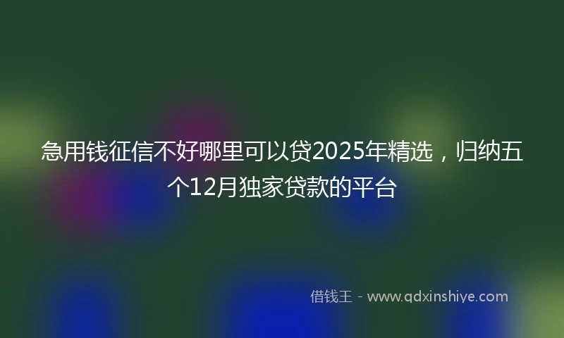 急用钱征信不好哪里可以贷2025年精选，归纳五个12月独家贷款的平台