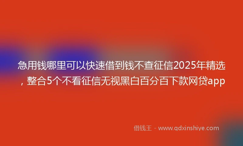 急用钱哪里可以快速借到钱不查征信2025年精选，整合5个不看征信无视黑白百分百下款网贷app