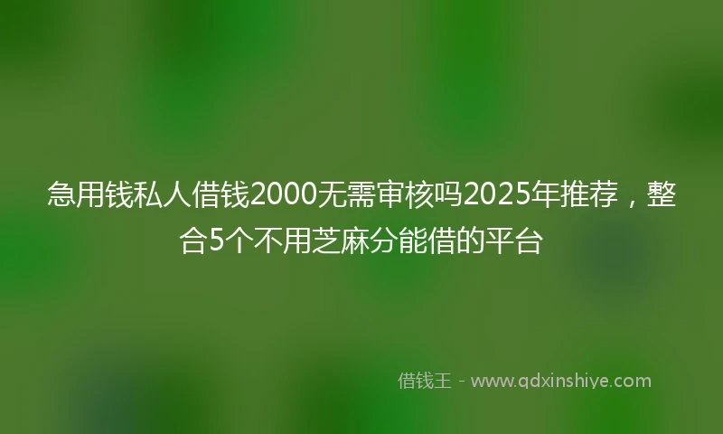 急用钱私人借钱2000无需审核吗2025年推荐，整合5个不用芝麻分能借的平台