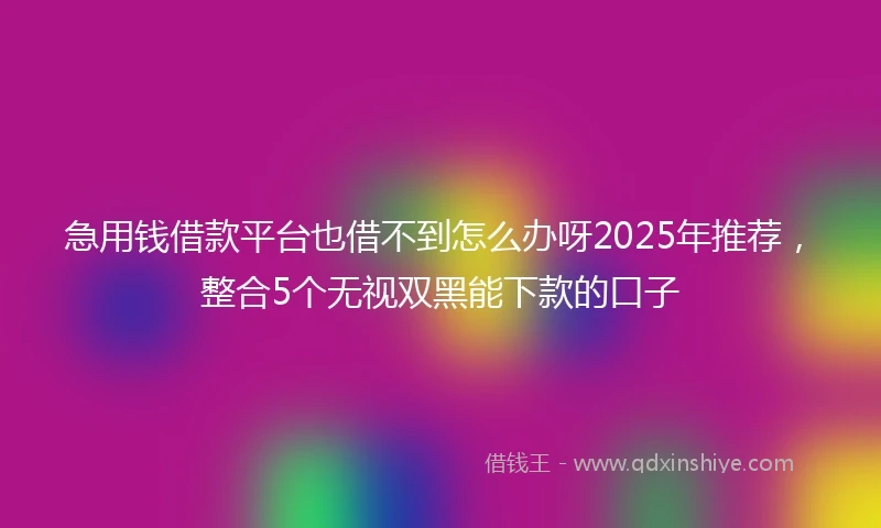 急用钱借款平台也借不到怎么办呀2025年推荐，整合5个无视双黑能下款的口子