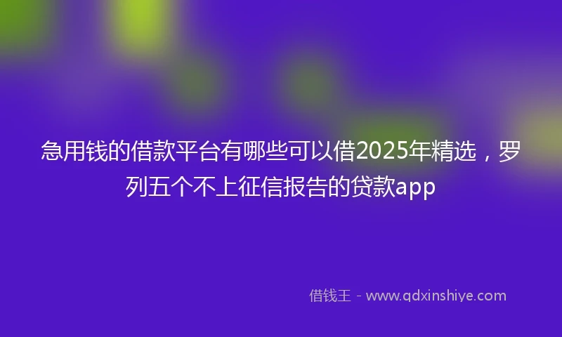 急用钱的借款平台有哪些可以借2025年精选，罗列五个不上征信报告的贷款app