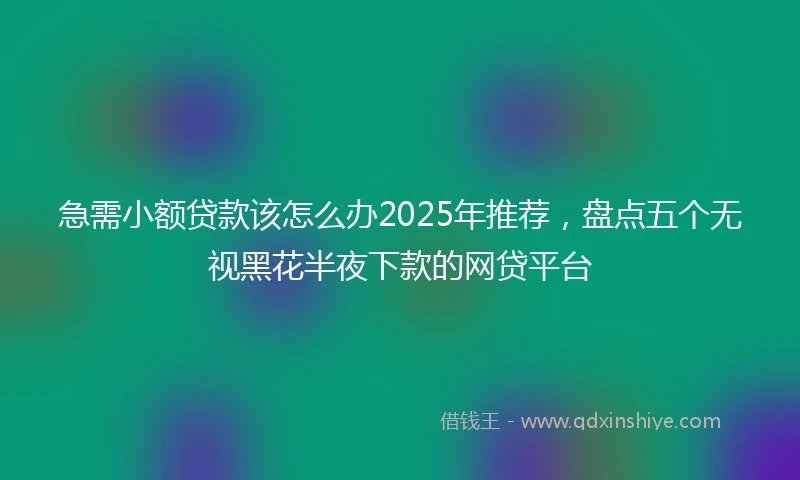 急需小额贷款该怎么办2025年推荐，盘点五个无视黑花半夜下款的网贷平台