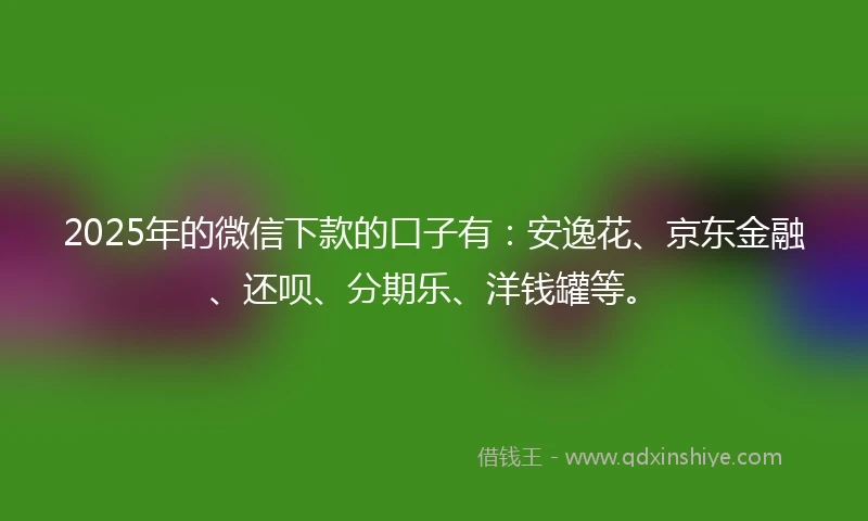 2025年的微信下款的口子有：安逸花、京东金融、还呗、分期乐、洋钱罐等。