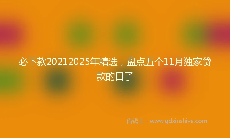 必下款20212025年精选，盘点五个11月独家贷款的口子