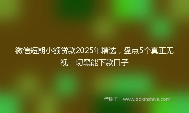 微信短期小额贷款2025年精选，盘点5个真正无视一切黑能下款口子