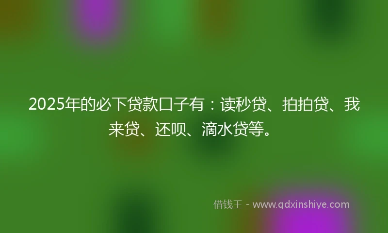 2025年的必下贷款口子有：读秒贷、拍拍贷、我来贷、还呗、滴水贷等。