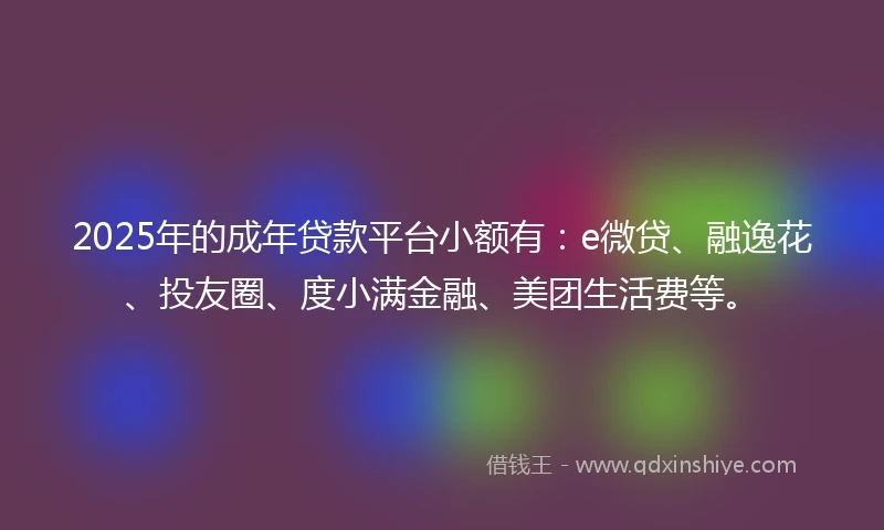 2025年的成年贷款平台小额有：e微贷、融逸花、投友圈、度小满金融、美团生活费等。