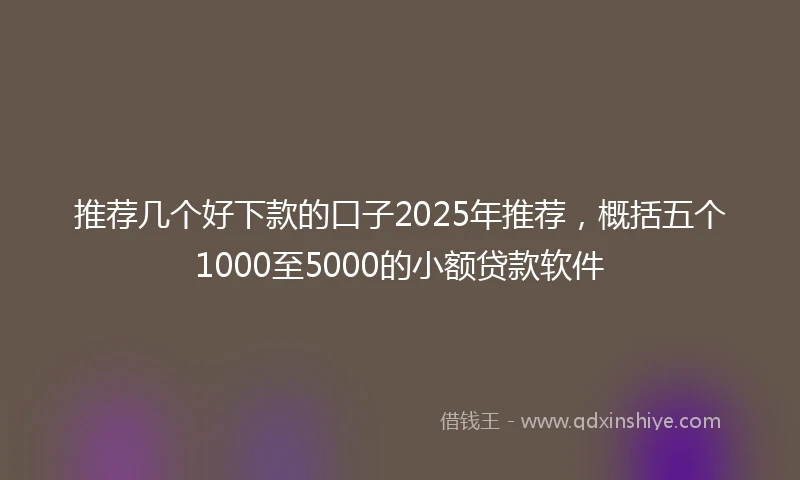推荐几个好下款的口子2025年推荐，概括五个1000至5000的小额贷款软件