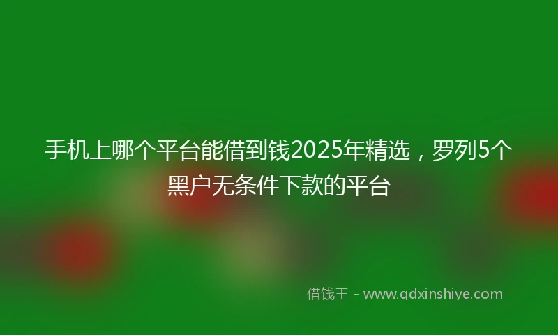 手机上哪个平台能借到钱2025年精选，罗列5个黑户无条件下款的平台