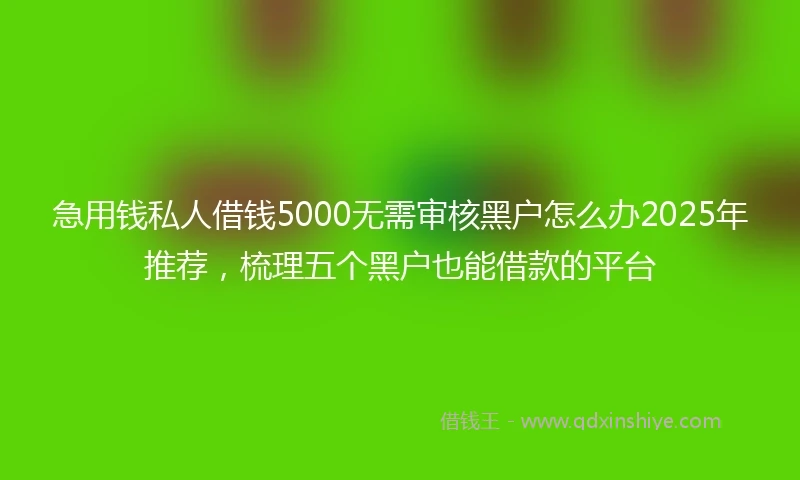 急用钱私人借钱5000无需审核黑户怎么办2025年推荐，梳理五个黑户也能借款的平台