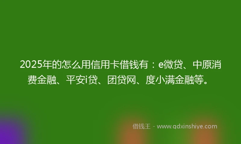 2025年的怎么用信用卡借钱有：e微贷、中原消费金融、平安i贷、团贷网、度小满金融等。