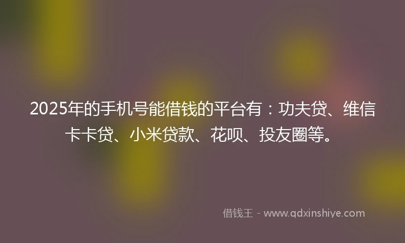 2025年的手机号能借钱的平台有：功夫贷、维信卡卡贷、小米贷款、花呗、投友圈等。