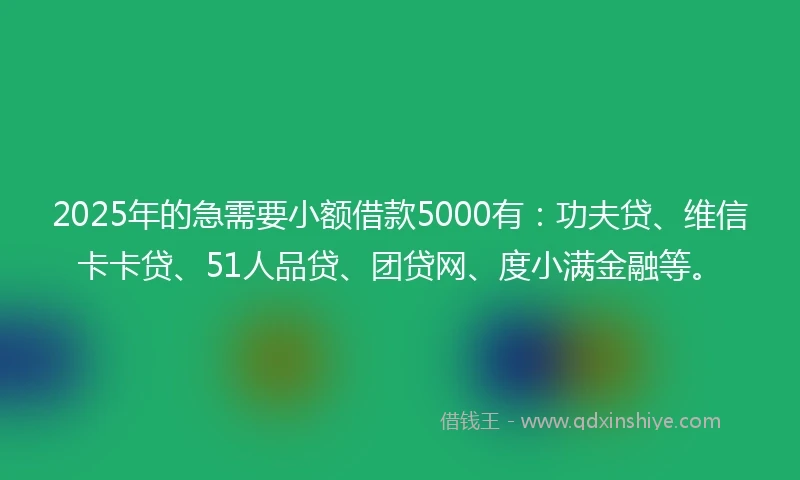 2025年的急需要小额借款5000有：功夫贷、维信卡卡贷、51人品贷、团贷网、度小满金融等。
