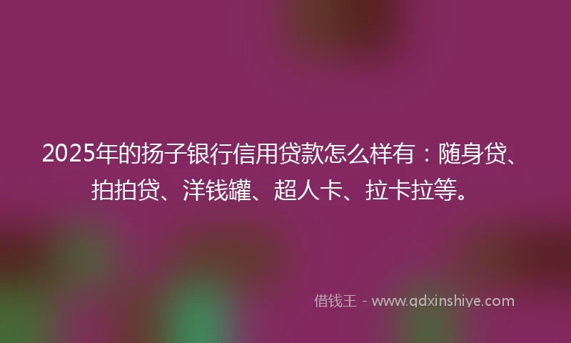 2025年的扬子银行信用贷款怎么样有：随身贷、拍拍贷、洋钱罐、超人卡、拉卡拉等。