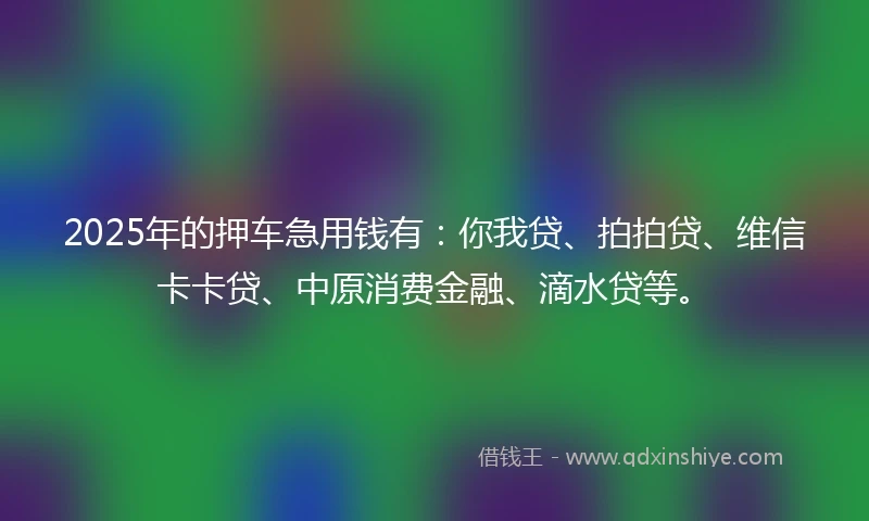 2025年的押车急用钱有：你我贷、拍拍贷、维信卡卡贷、中原消费金融、滴水贷等。