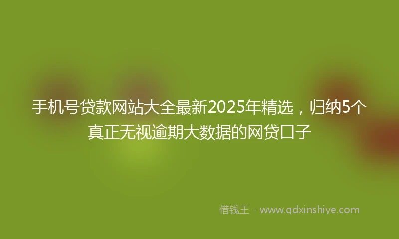 手机号贷款网站大全最新2025年精选，归纳5个真正无视逾期大数据的网贷口子